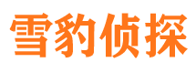 田家庵侦探公司